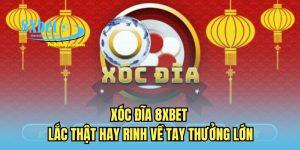 xóc đĩa 8xbet
