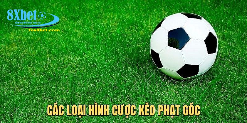Kèo phạt góc có nhiều thể loại cược