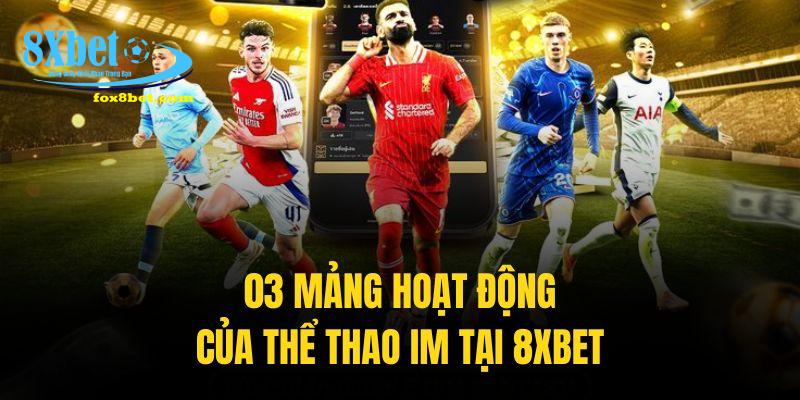 03 mảng giải trí chủ đạo của thể thao IM đã và đang không ngừng phát triển