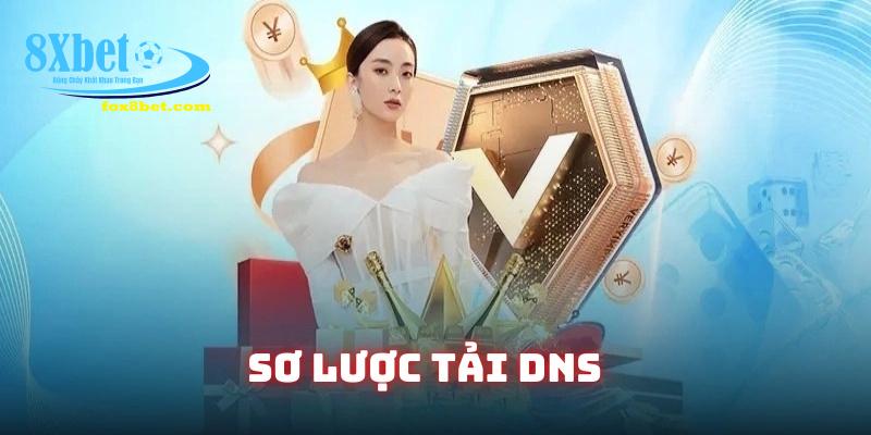 Giới thiệu sơ lược tải DNS