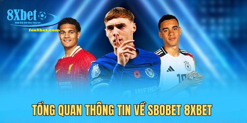 Tìm hiểu sân chơi Sbobet tại nhà cái 8xbet